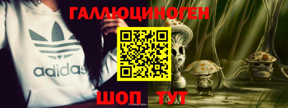 купить   Галлюциногенные грибы GOLDEN TEACHER  Псилоцибиновые грибы ЛСД  Вход с VPN  Азов 
