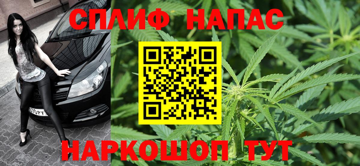 Бошки Шишки сатива Азов